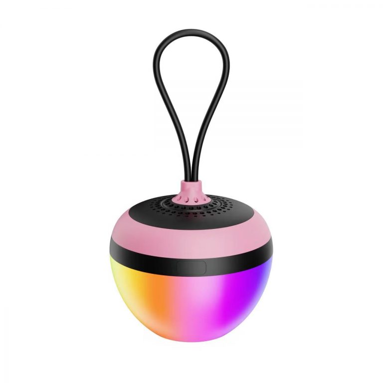 Portable Mini Bluetooth Speaker